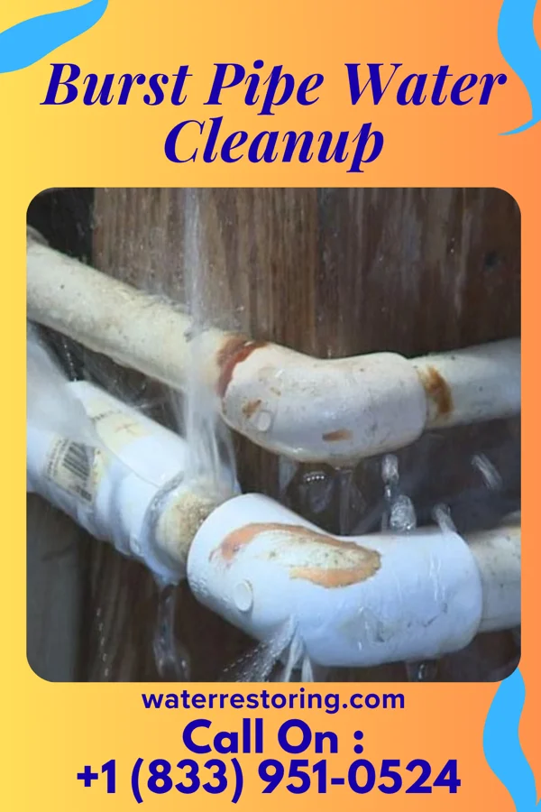 Burst Pipe Water Cleanup in Piper City, IL